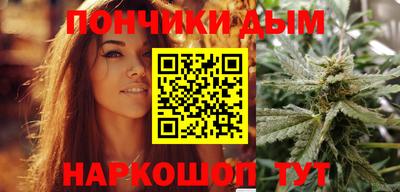 a pvp Новодвинск