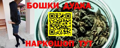 a pvp Новодвинск