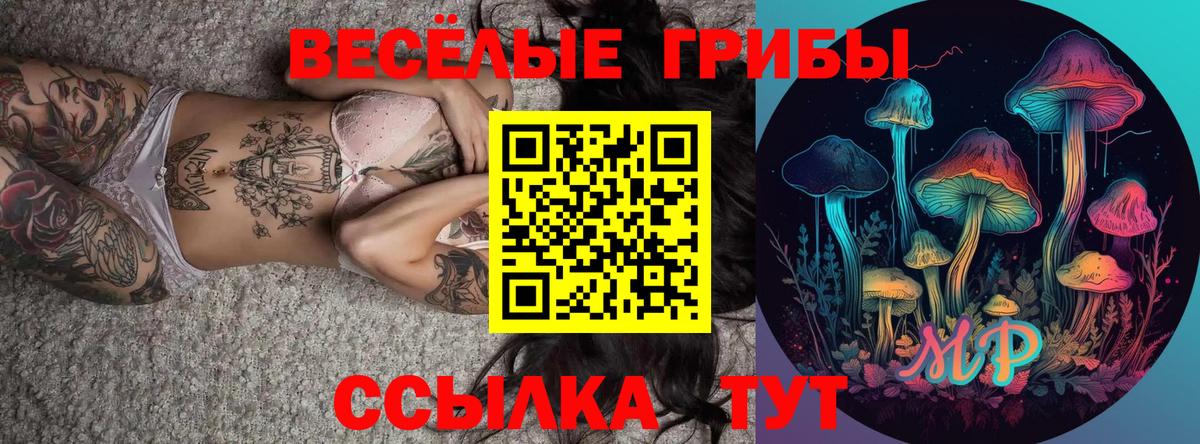 Псилоцибиновые грибы Psilocybe  Вход с VPN  Псилоцибиновые грибы Psilocybe  Ростов Великий 